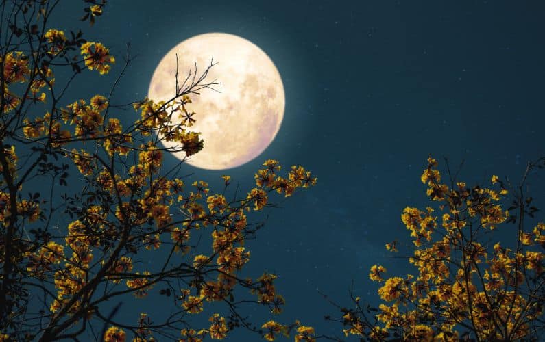 full moon energy healing